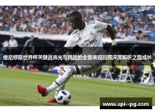 维尼修斯世界杯关键战高光与挑战的全面表现回顾深度解析之路成长