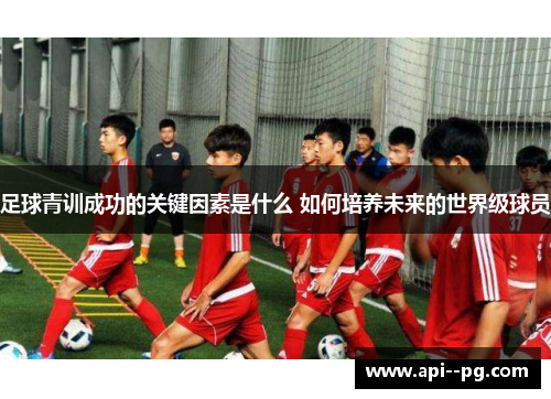 足球青训成功的关键因素是什么 如何培养未来的世界级球员