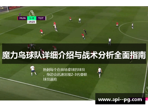 魔力鸟球队详细介绍与战术分析全面指南