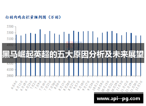 黑马崛起英超的五大原因分析及未来展望